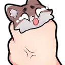 Foxy_SQUEEZE