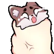 Foxy_Squeezes