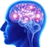 BigBrain