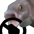 SpeedFishin
