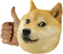 ThumbDoggo
