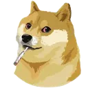 bluntdoge