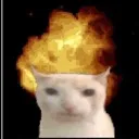 Fire Cat Discord Emoji