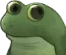 frogworry