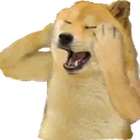 cdnahiiii