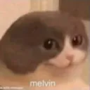 melvin