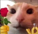 marryme
