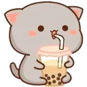 s_c_bobacat2 Discord Emoji