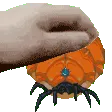 PettingGhorm PettingGhorm