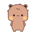 hibear