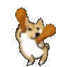 dogeraca Discord Emoji