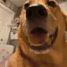 0HOWABOUTIFUCKINGKILLYOUHOWABOUT