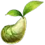 MOKOKO