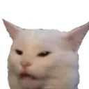 cat2 Discord Emoji