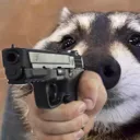 Racc_gun Racc_gun