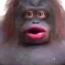 react_monke_uhoh react_monke_uhoh