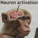 react_monke_neuronactivation