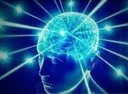 BrainLvl4