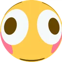 MBR_yFlushed