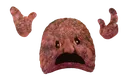 meathoo