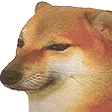 shoukoCheemsekai