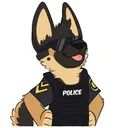 COPS
