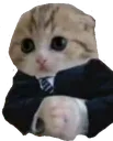 businessket