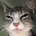 kw_seiko Discord emoji