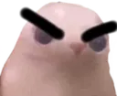 bingus