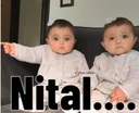 bff_nital