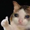 moew1like moew1like