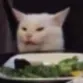 Catwtf catwtf Discord Emoji