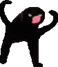 angylicc
