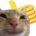 CatThumbsUp
