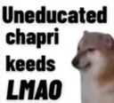 chaparilmao