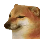 saddog