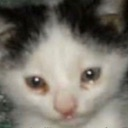 cat_sad Discord emoji