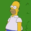 homer