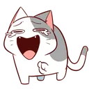 laughatya