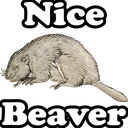beaver Discord emoji