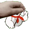 newpfpbodapet