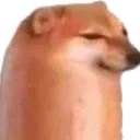 sadge sadge