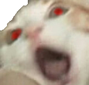 cat_angry_n Discord emoji