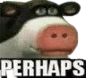 Perhaps_CF