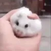 squishy