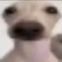 ReallyBruh