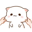 catCute