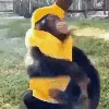 FunkyMonkey