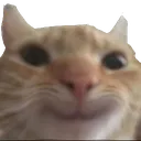 smilecat