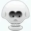 lolskull lolskull